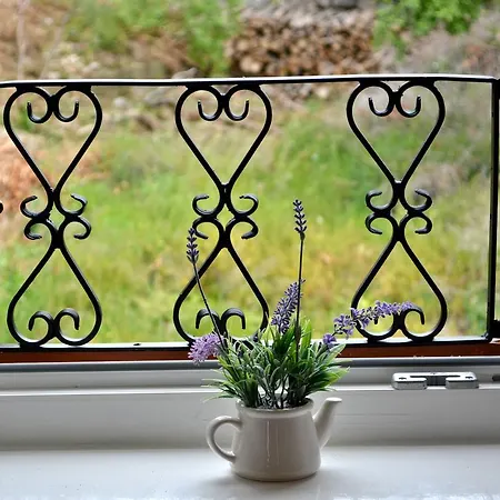 Apartment Artemia