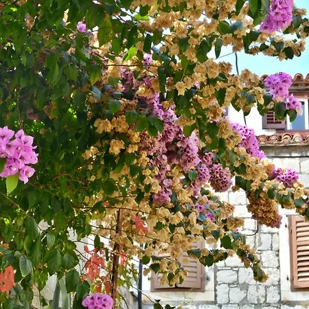 Apartment Artemia *