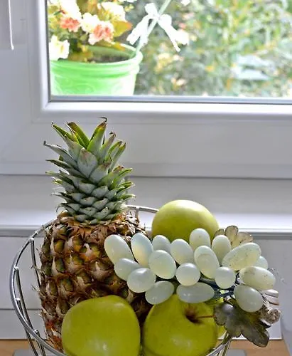 Artemia Lejlighed Split