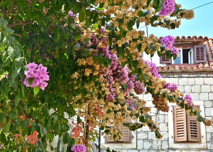 Apartment Artemia *